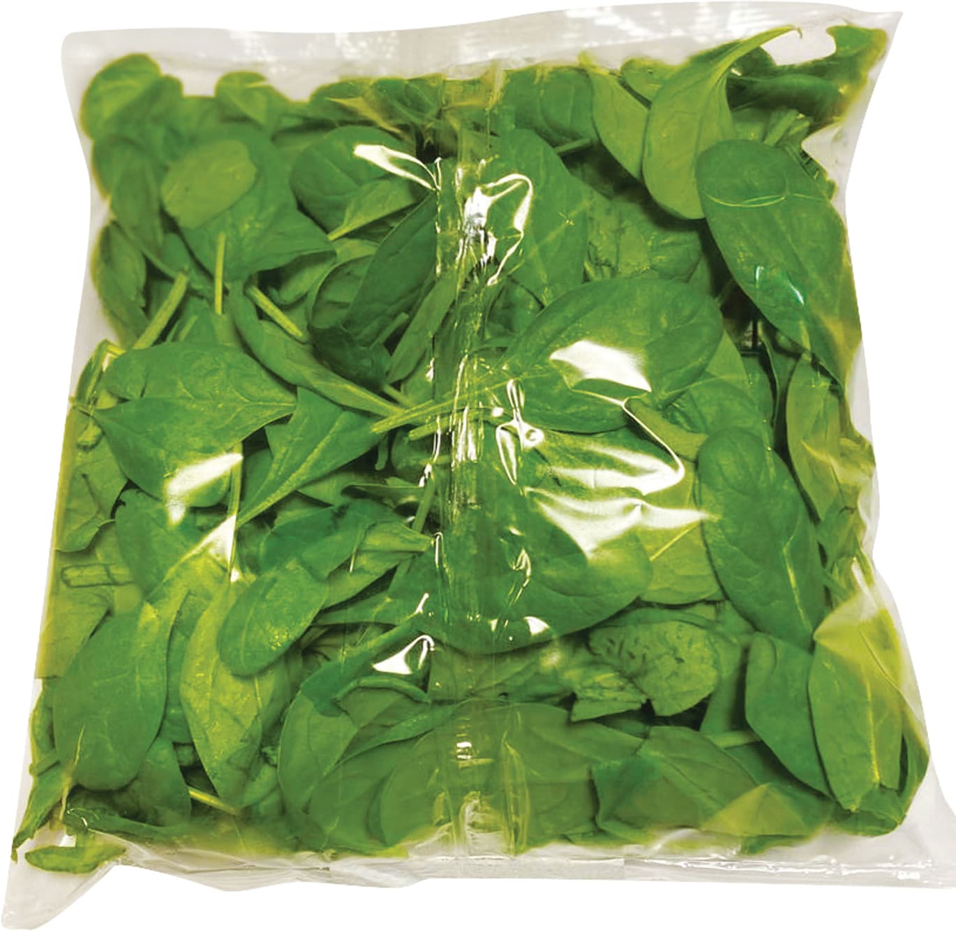 Spinacino 125 g – immagine 1