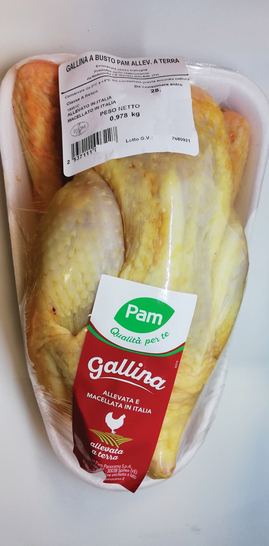 Gallina busto – immagine 1