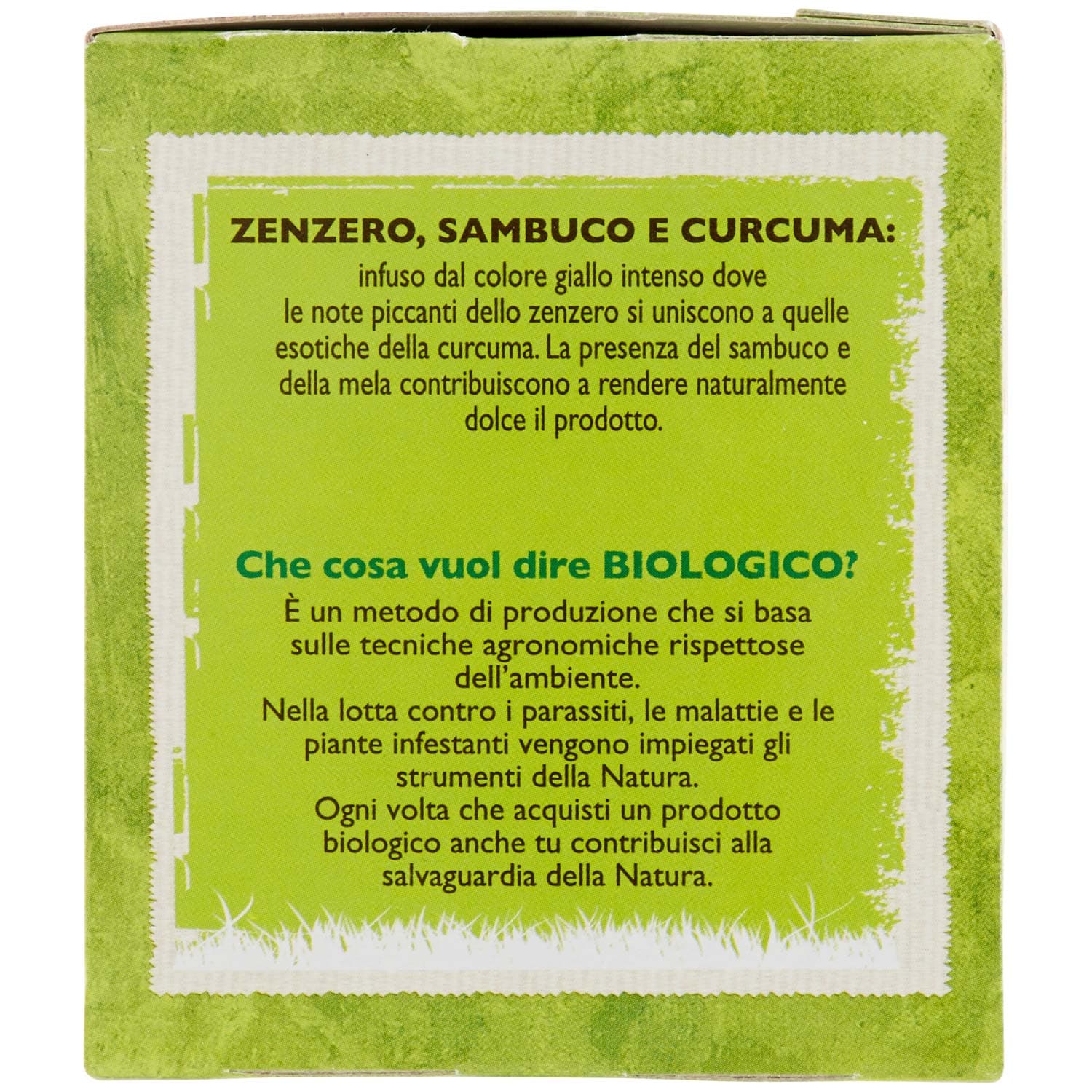 BIO Infuso di zenzero sambuco e curcuma 20 x 1,85 g – immagine 3