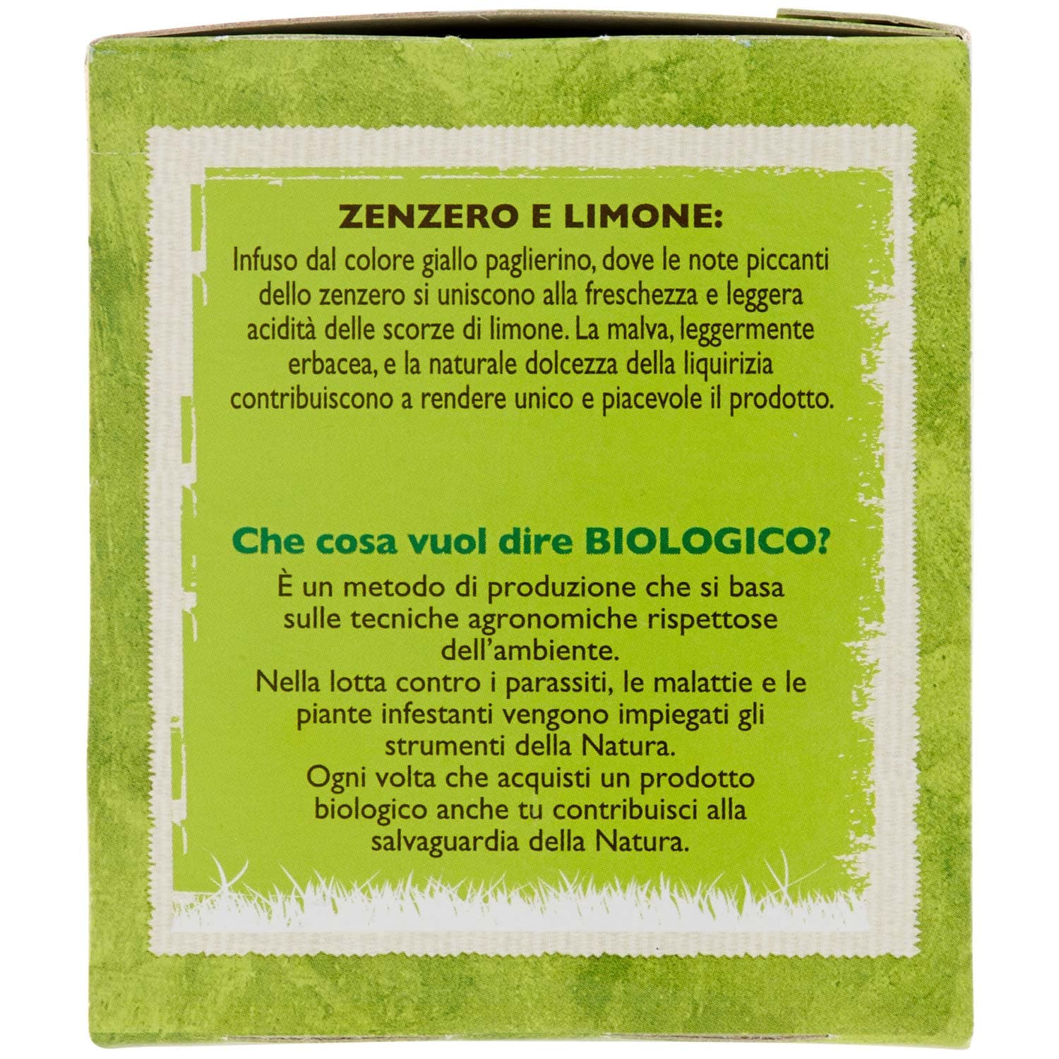 BIO Infuso di zenzero e limone 20 x 1,85 g – immagine 3