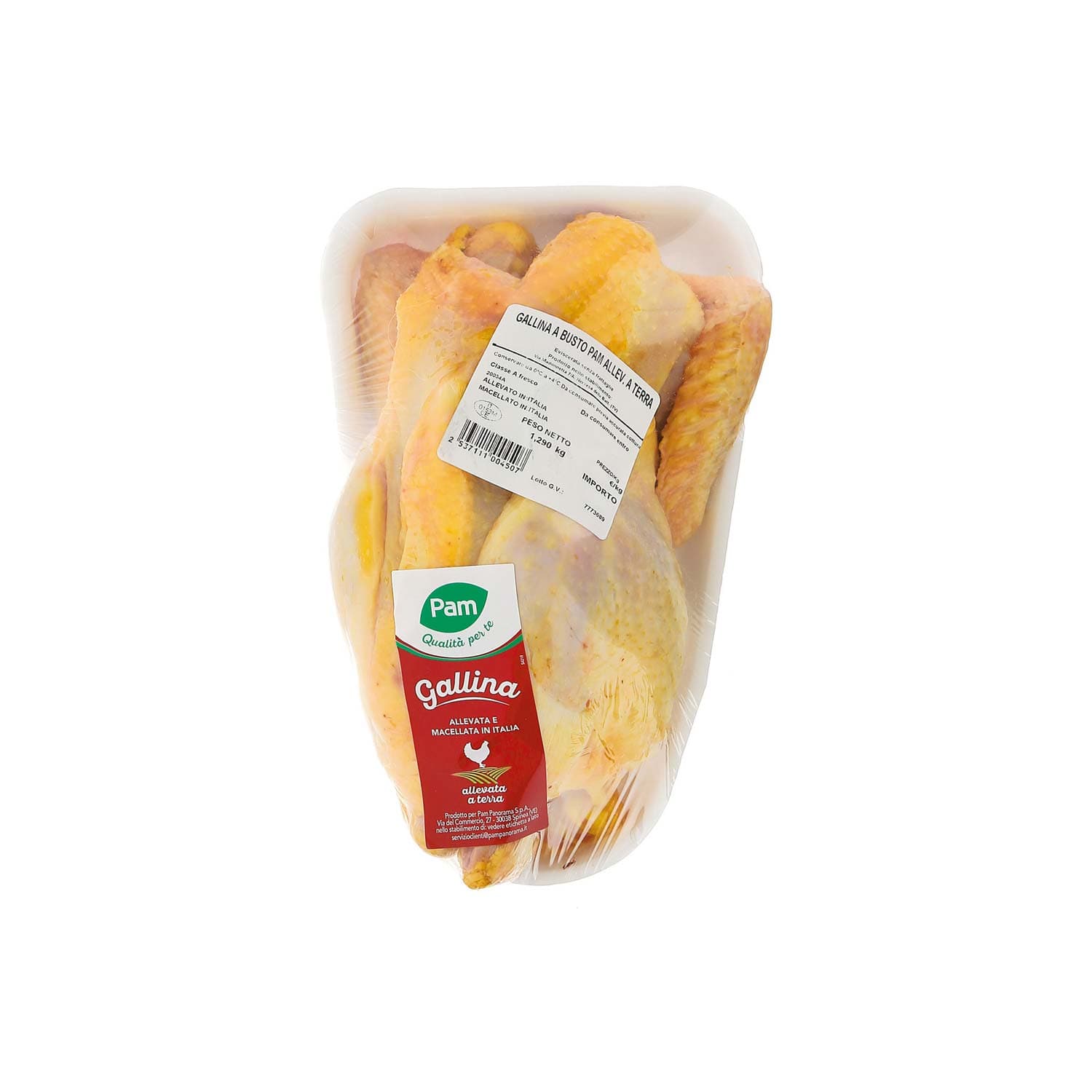 Gallina busto – immagine 2