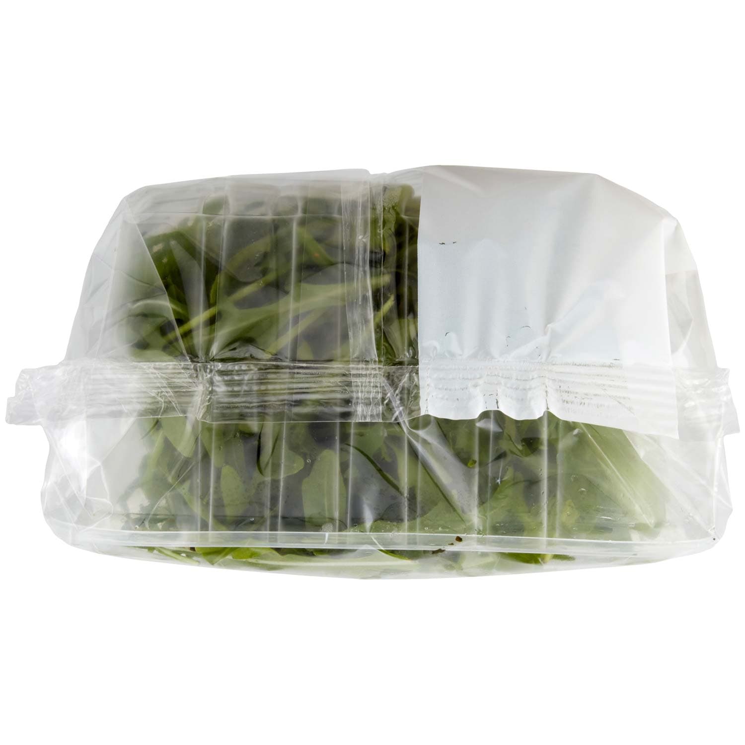 PAM Rucola 100 g – immagine 6