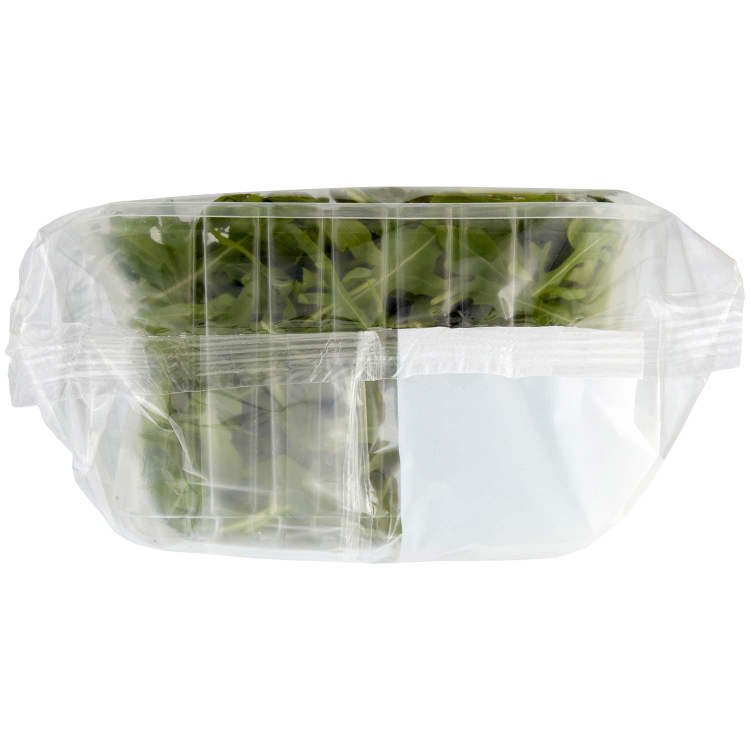 PAM Rucola 100 g – immagine 7