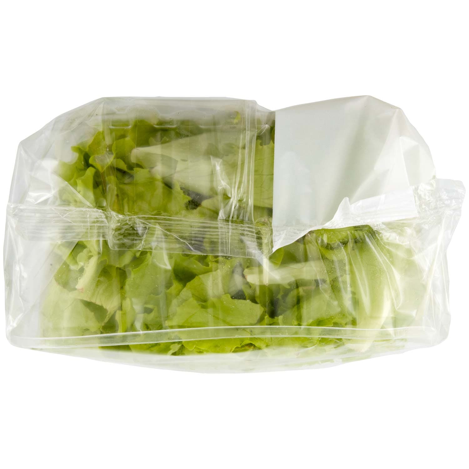 PAM Lattughino 100 g – immagine 6