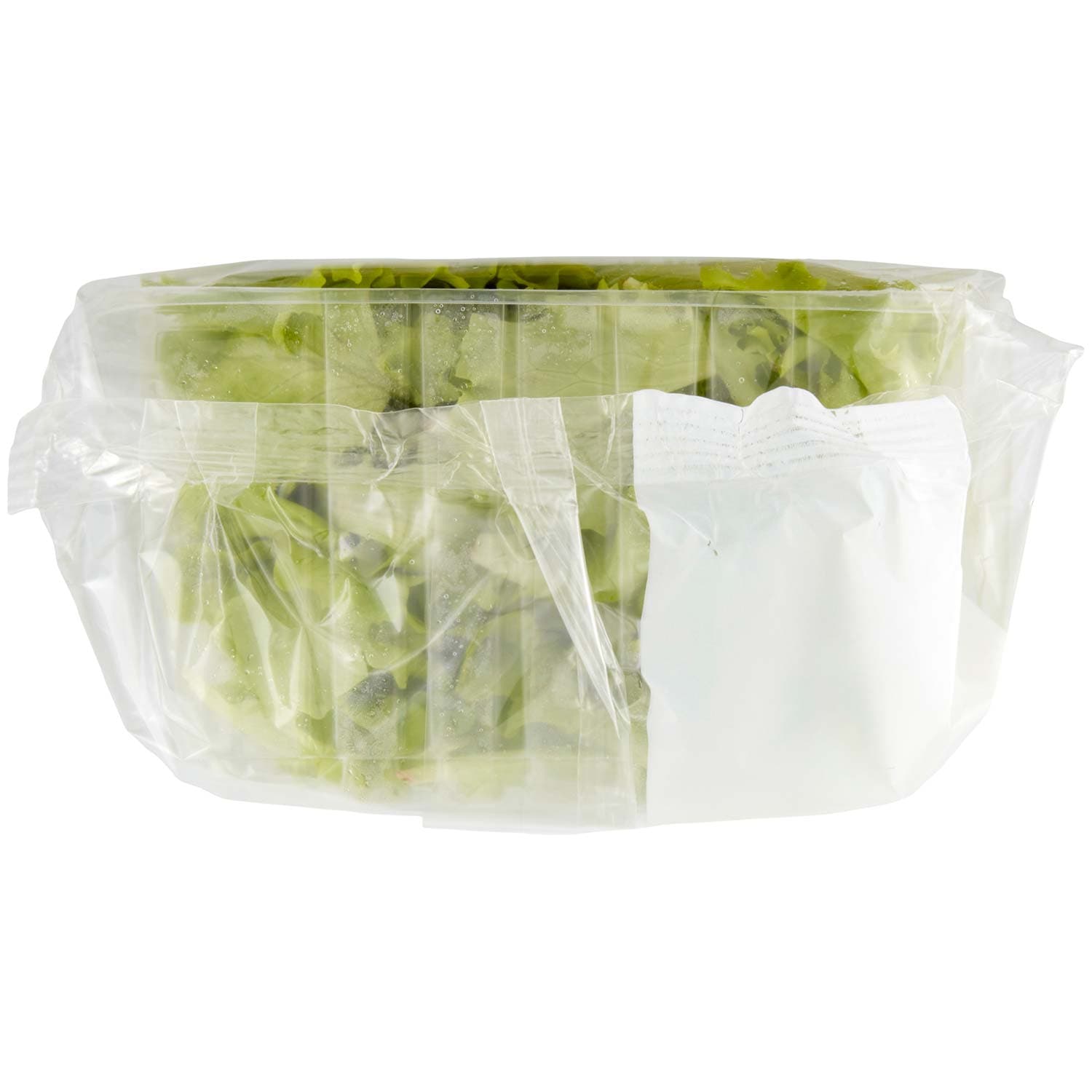 PAM Lattughino 100 g – immagine 7