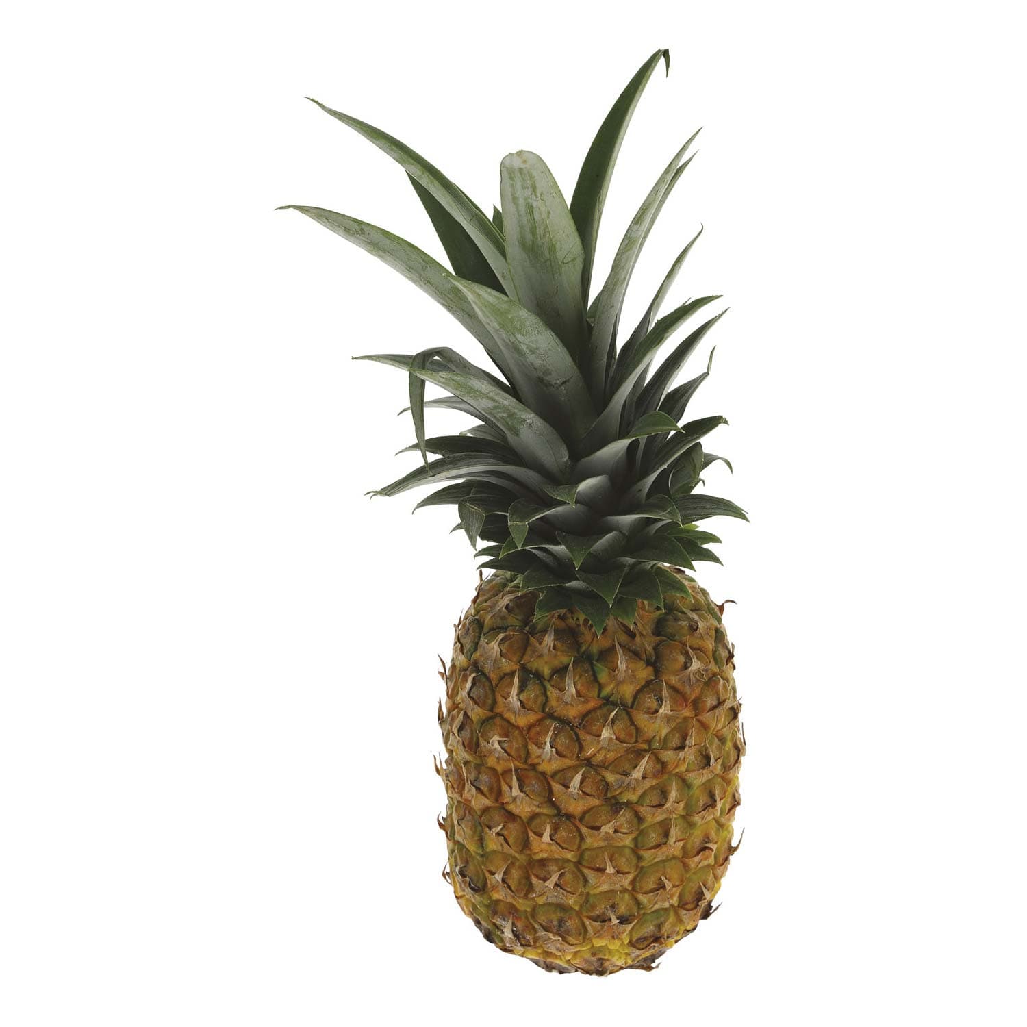 PAM ananas maturato pr – immagine 2