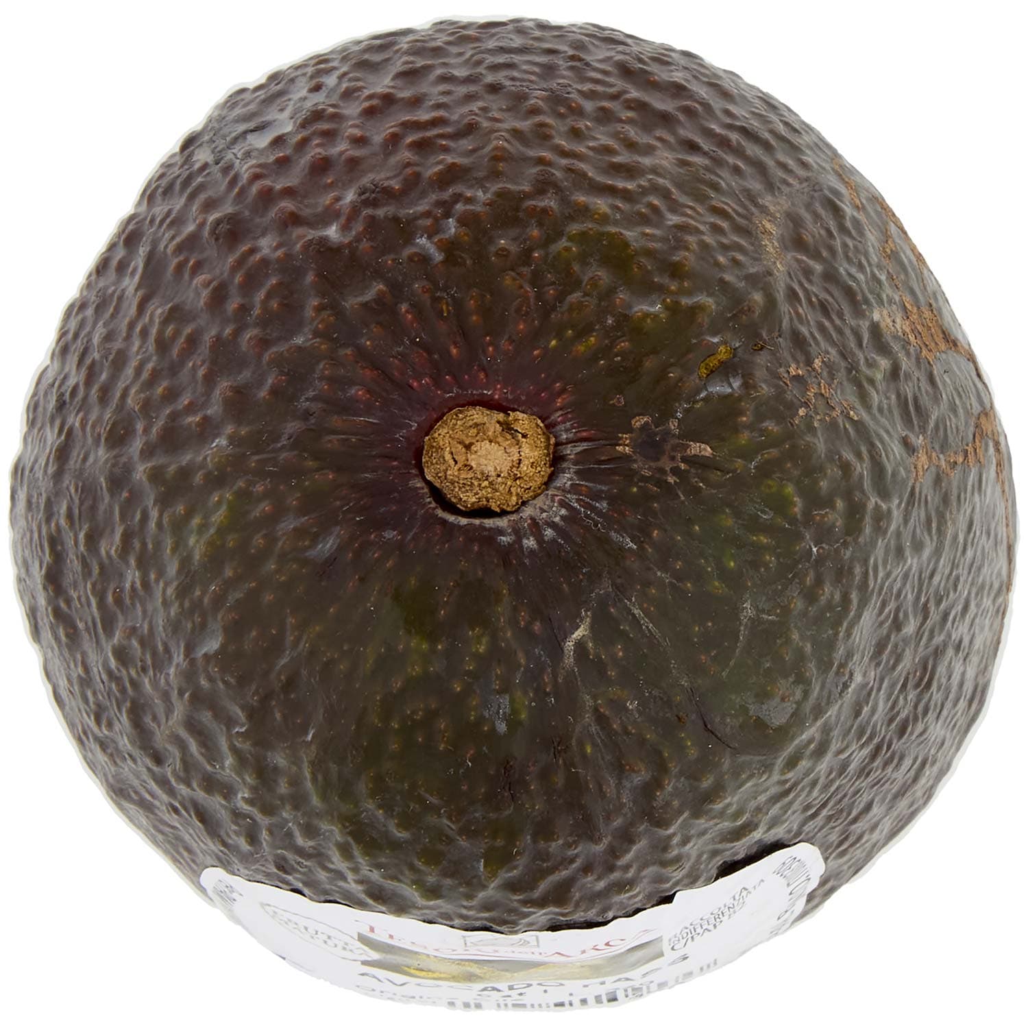 TESORI DELL'ARCA Avocado Hass 200 g – immagine 6