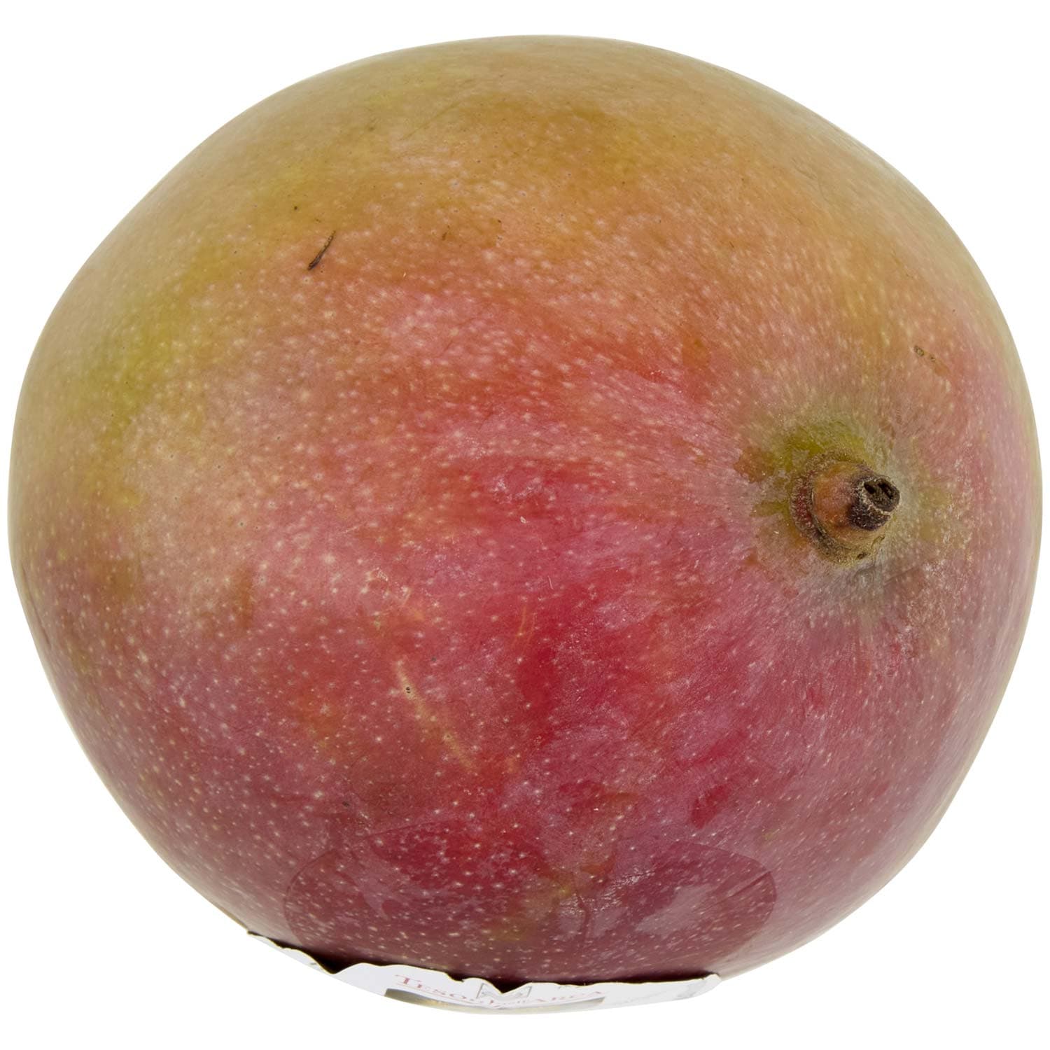 Tesori dell'arca mango 380 g – immagine 7