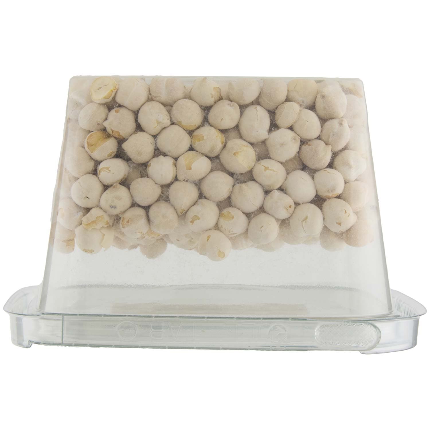 PAM Ceci Tostati e Salati 200 g – immagine 6