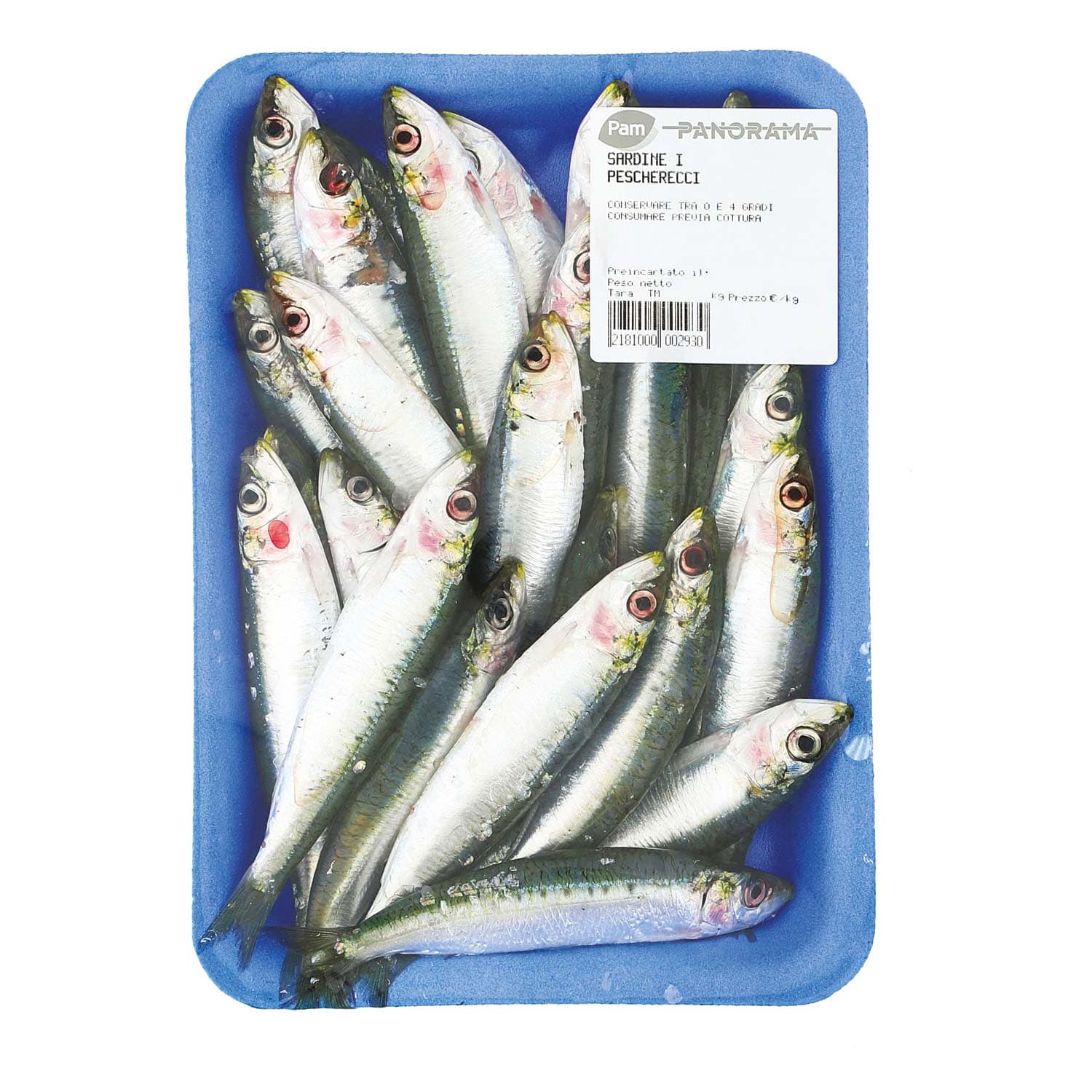 Sardine i pescherecci – immagine 3