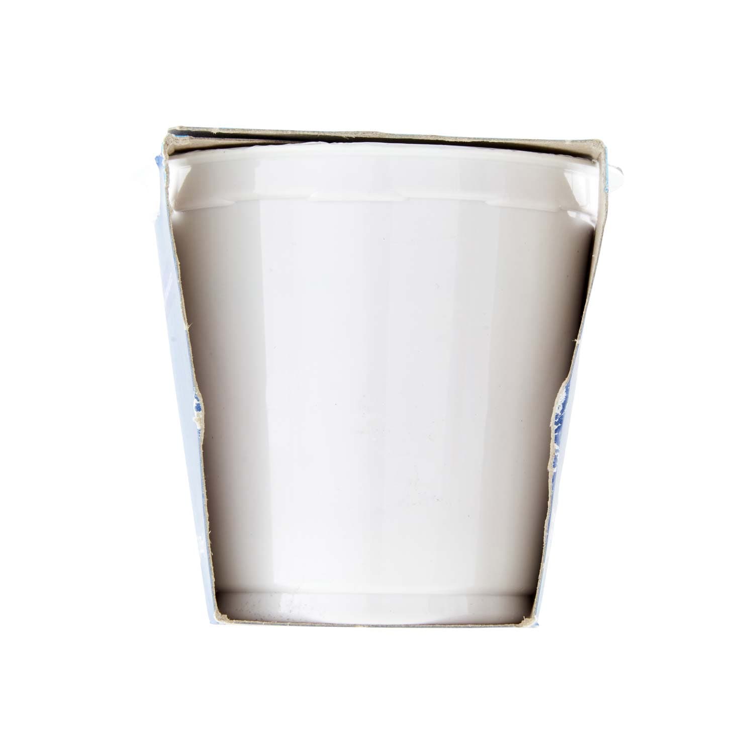 PAM PANORAMA Yogurt intero Cremoso ai Mirtilli 250g (125g x 2) – immagine 3