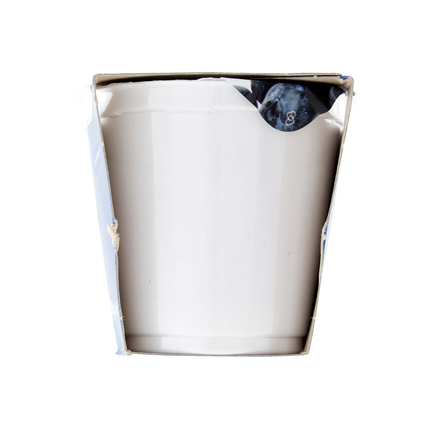 PAM PANORAMA Yogurt intero Cremoso ai Mirtilli 250g (125g x 2) – immagine 5