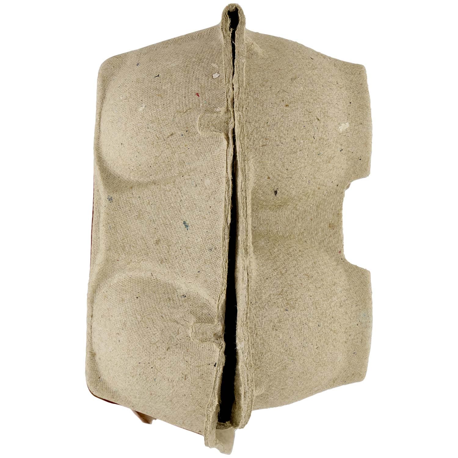 PAM PANORAMA 10 Uova fresche Medie da Allevamento a Terra – immagine 5