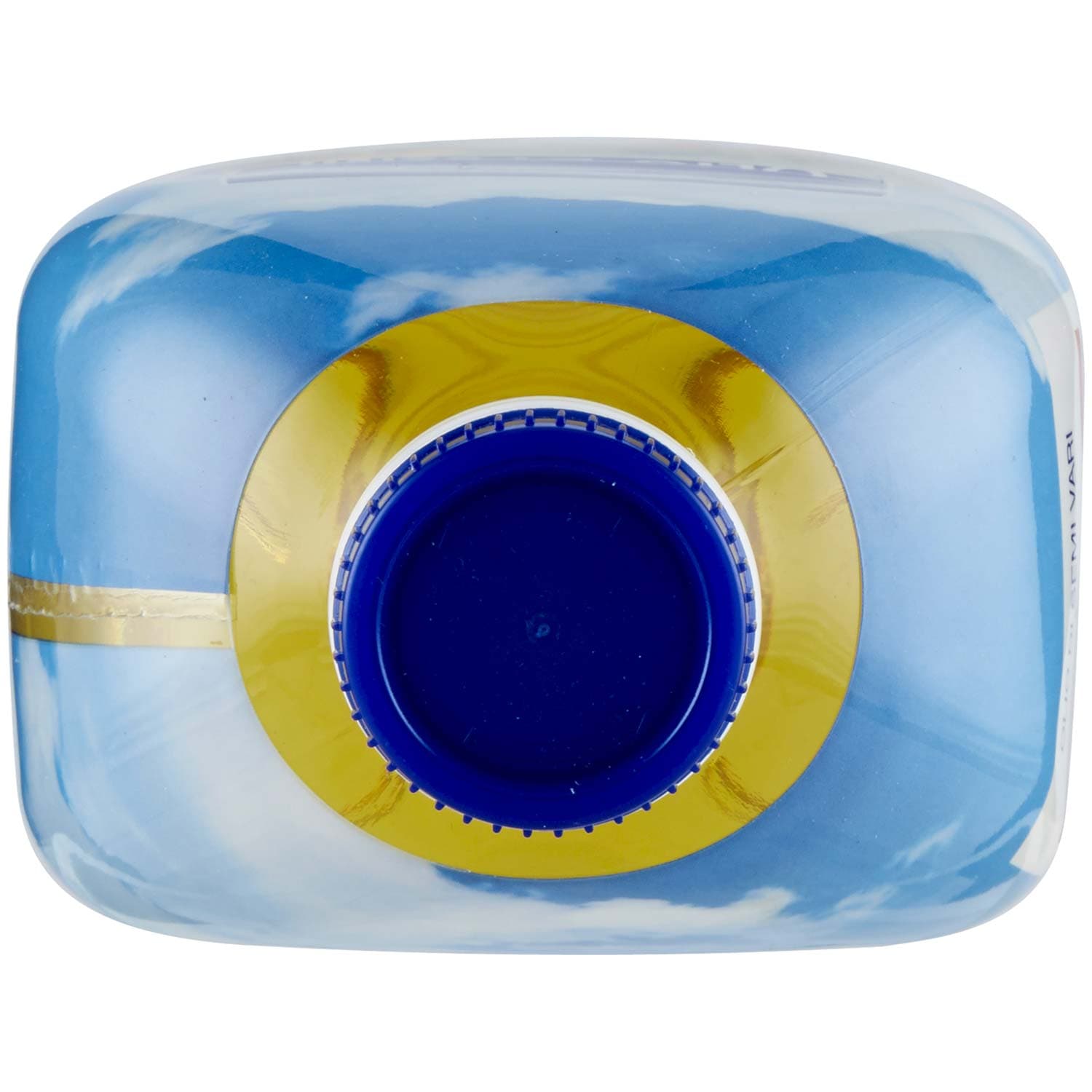 PAM PANORAMA Olio di Semi Vari 1 L – immagine 6