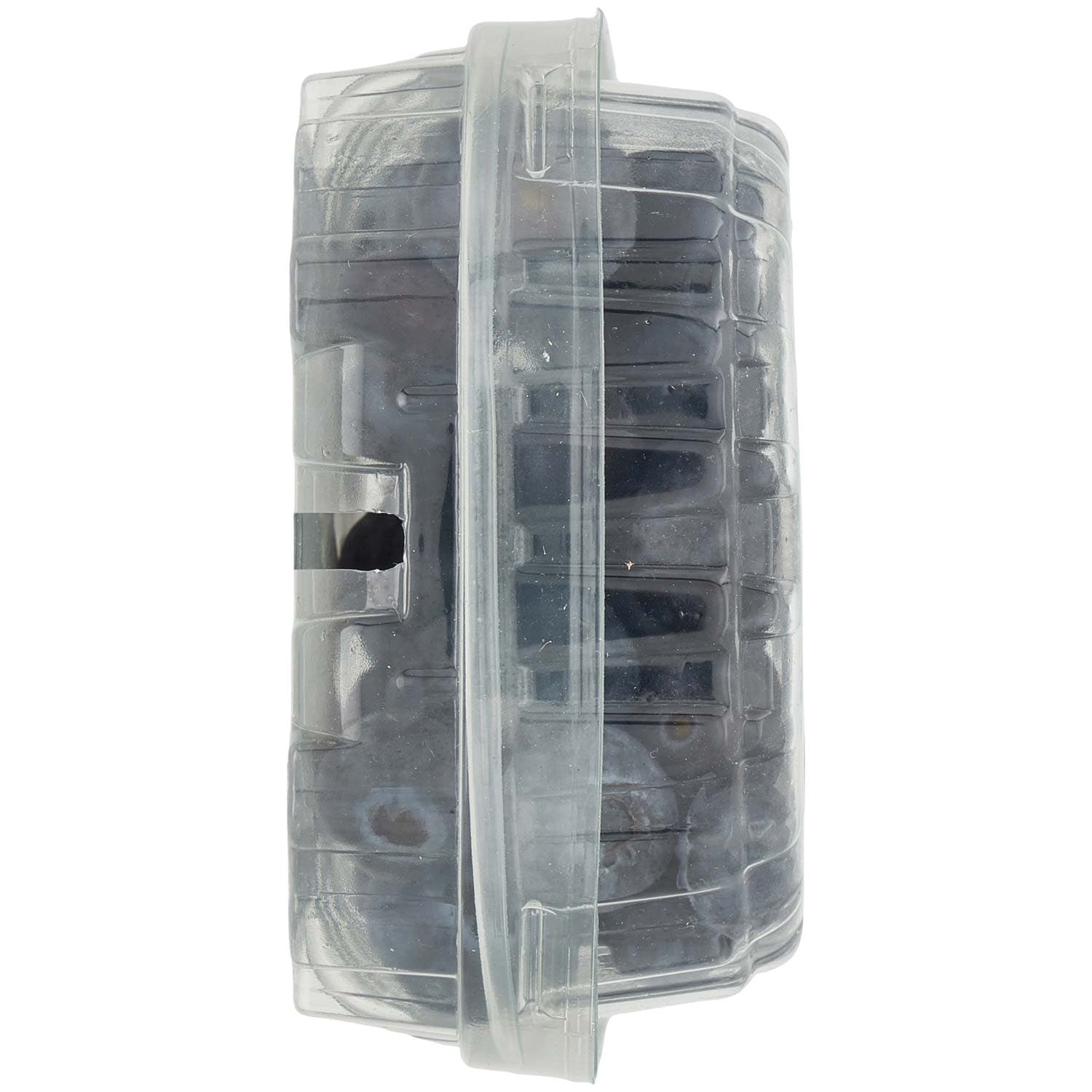 PAM Qualità per te Piccoli Frutti Mirtillo 125 g – immagine 5