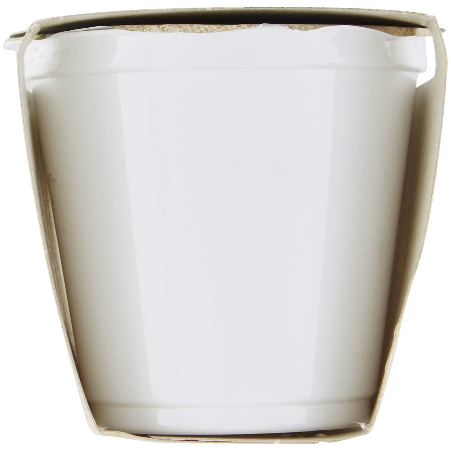 SEMPLICI E BUONI Probiotico con Kiwi e Crusca 250 g (125 g x 2) – immagine 3