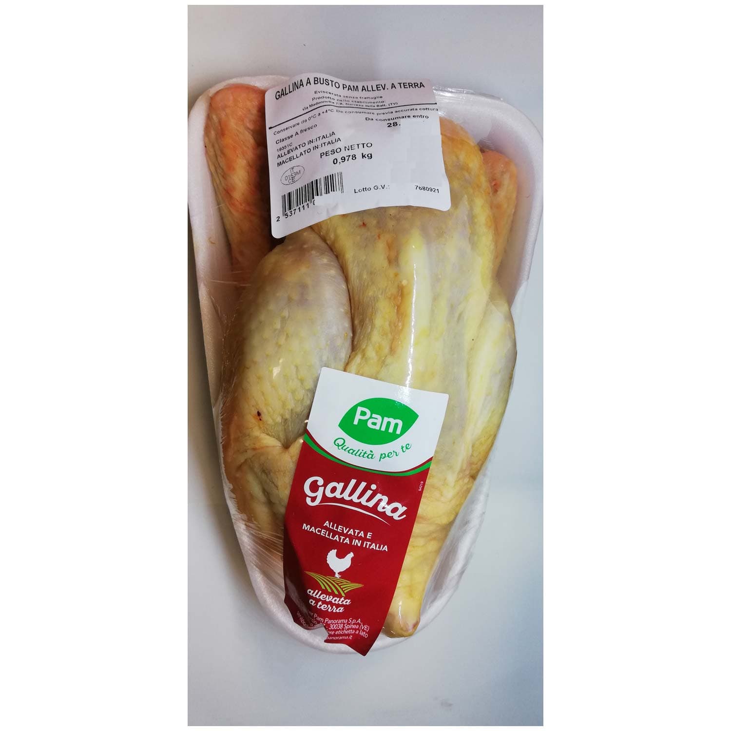 Gallina busto – immagine 2