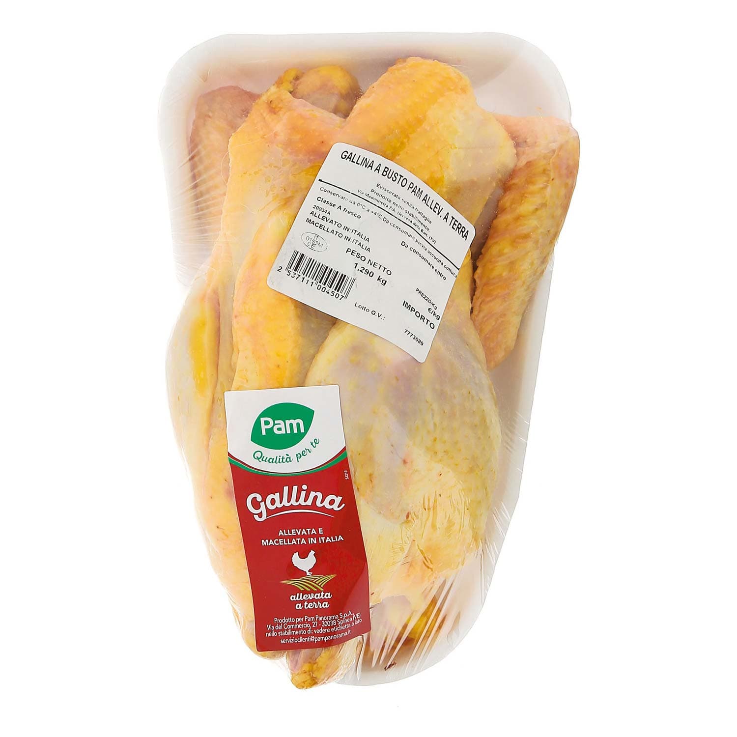 Gallina busto – immagine 3