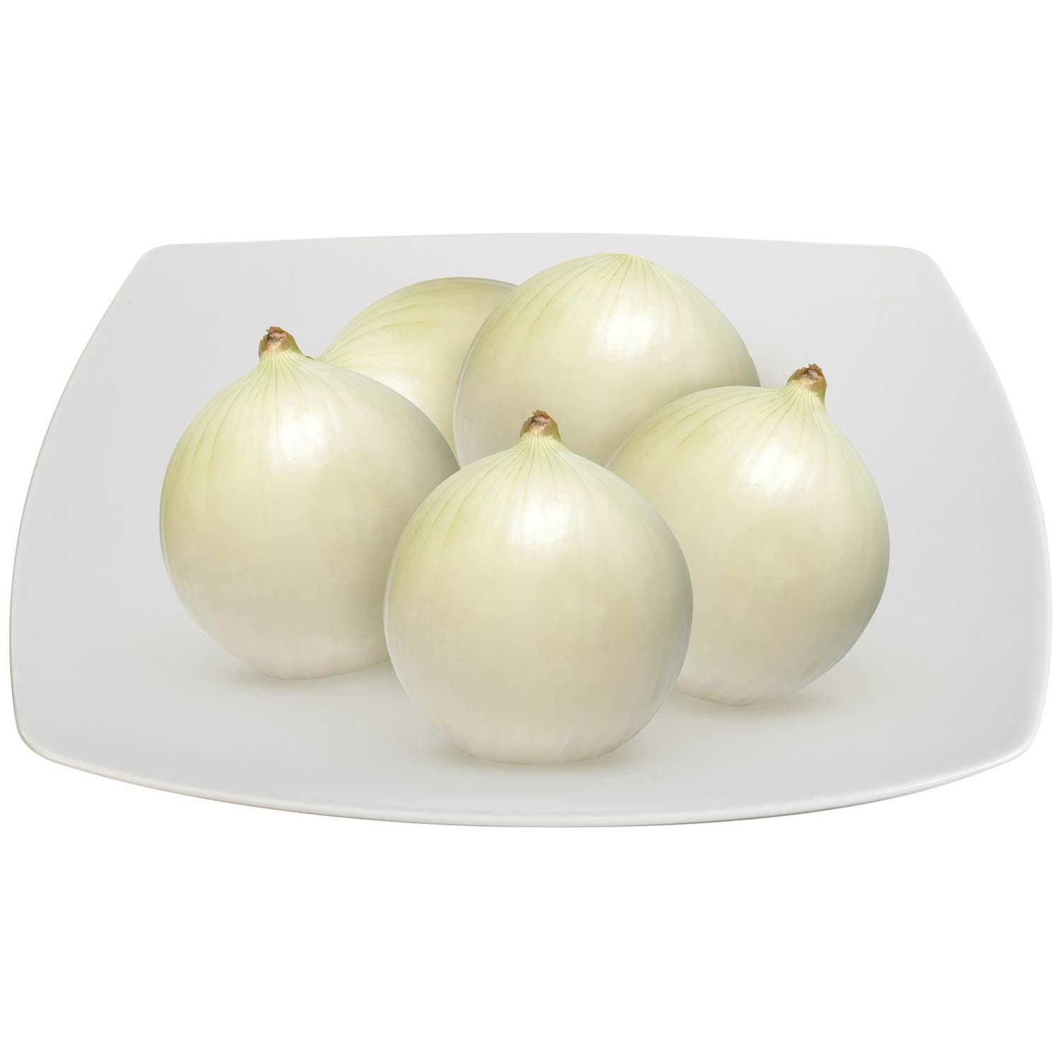 Cipolla bianca – immagine 2