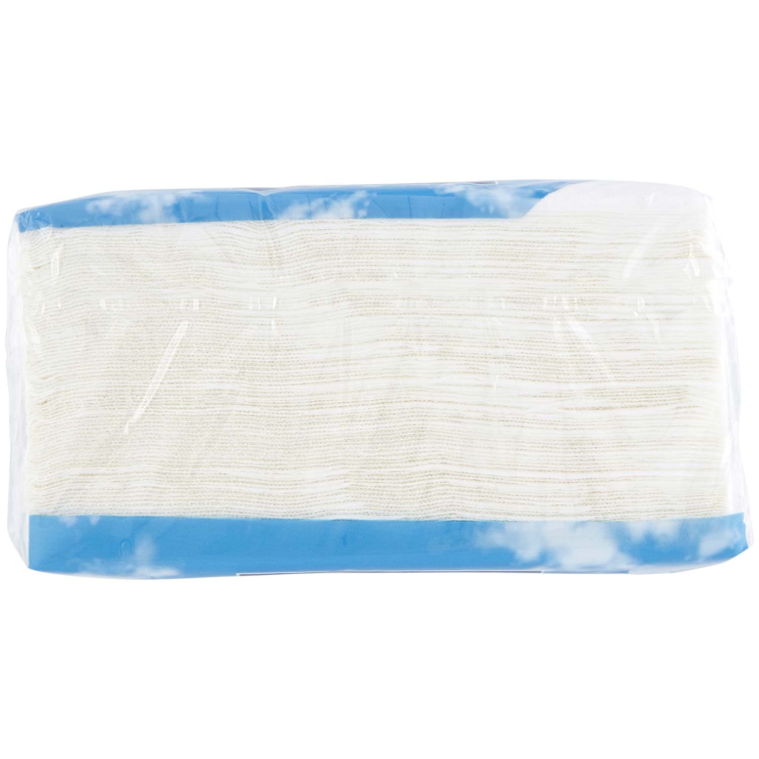 PAM PANORAMA Tovaglioli doppio velo ecologici 100 pz – immagine 6