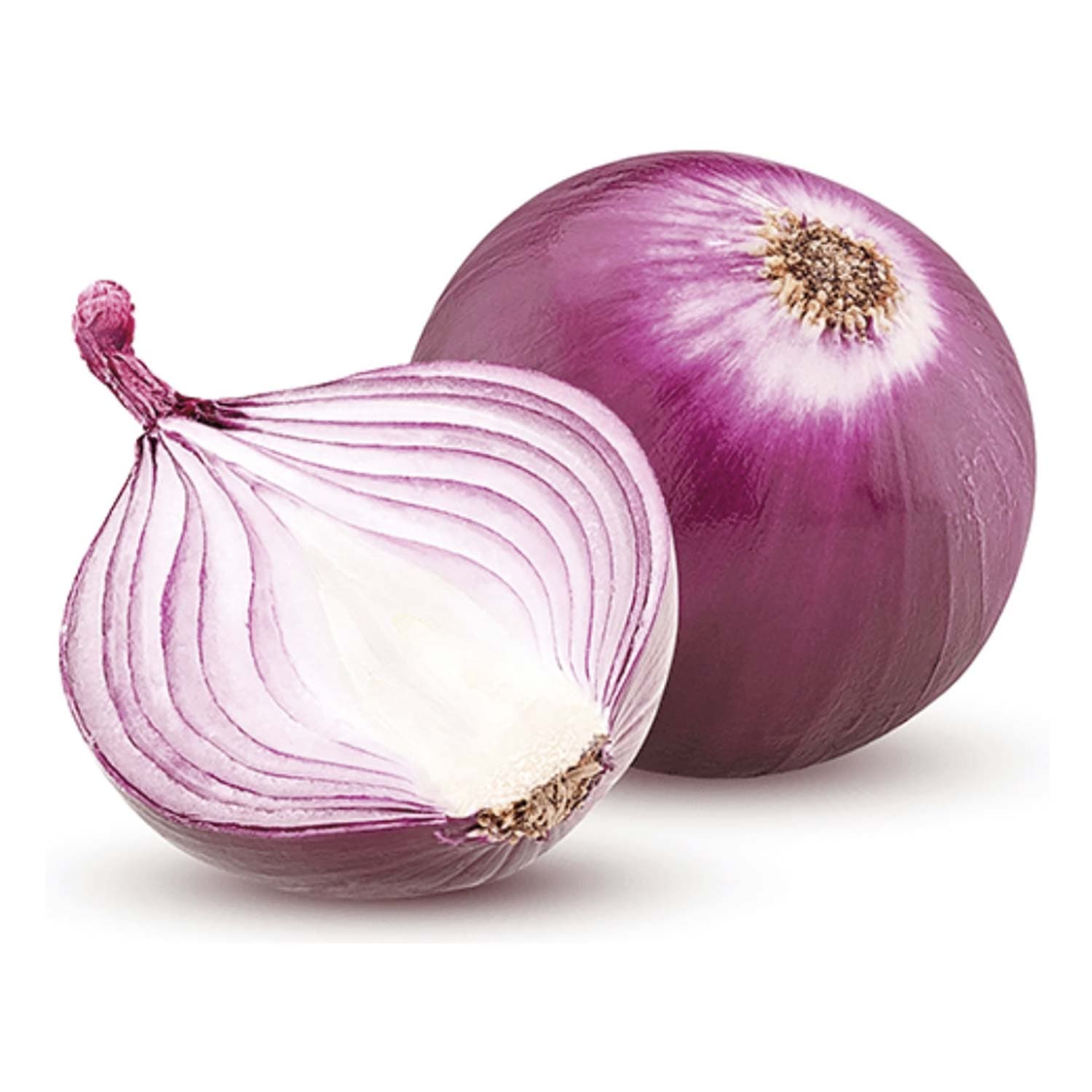 Cipolle rosse – immagine 2