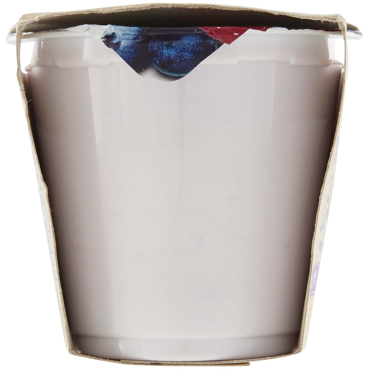 SEMPLICI E BUONI 0,1% di Grassi Frutti di Bosco Yogurt Magro con Frutta in Pezzi 250g (2x125g) – immagine 3