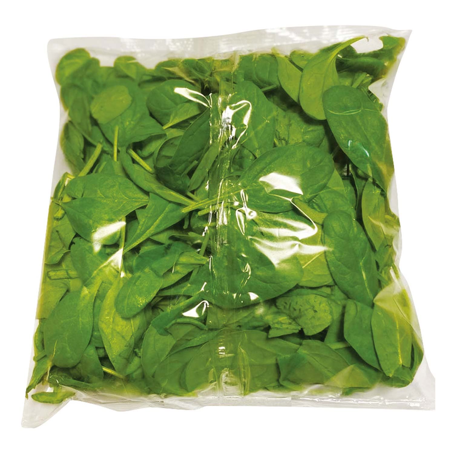 Spinacino 125 g – immagine 2