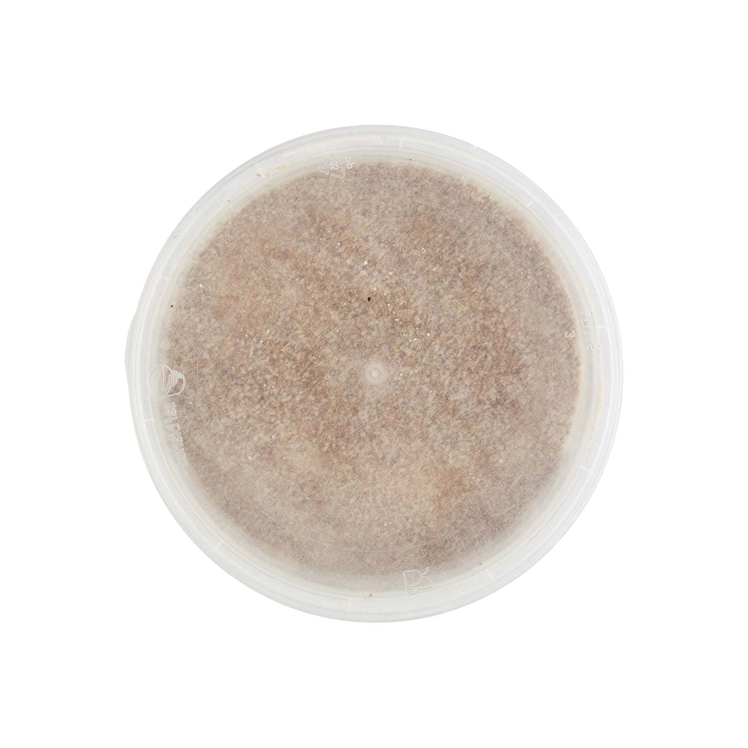 PAM Qualità per te Pan Grattato Integrale 350 g – immagine 6