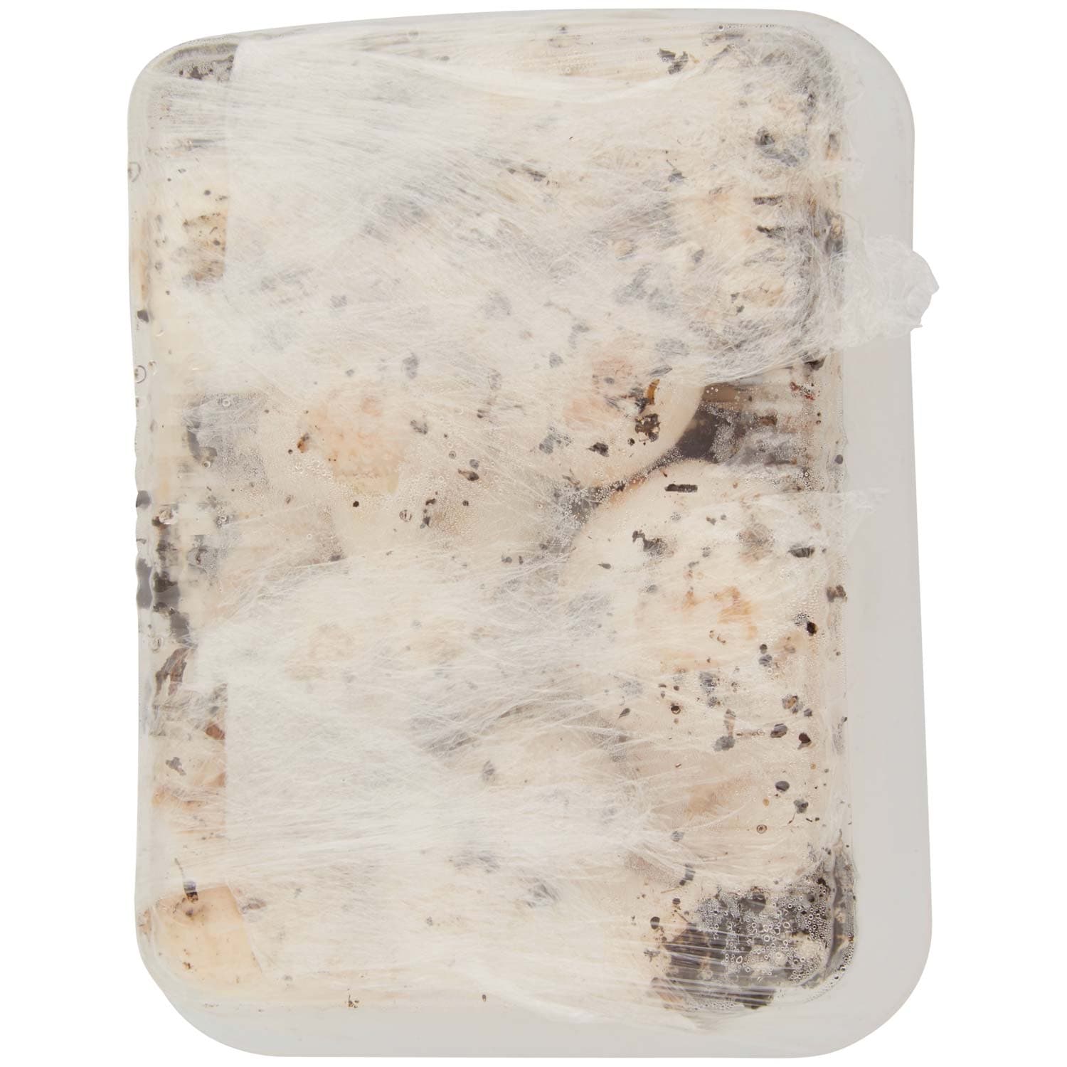 PAM Qualità per te Funghi Prataioli Coltivati 0,500 kg – immagine 4