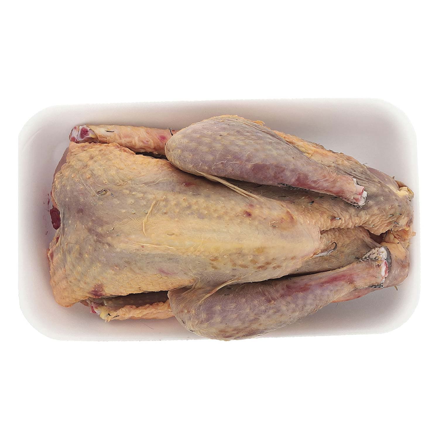 Faraona a busto – immagine 3