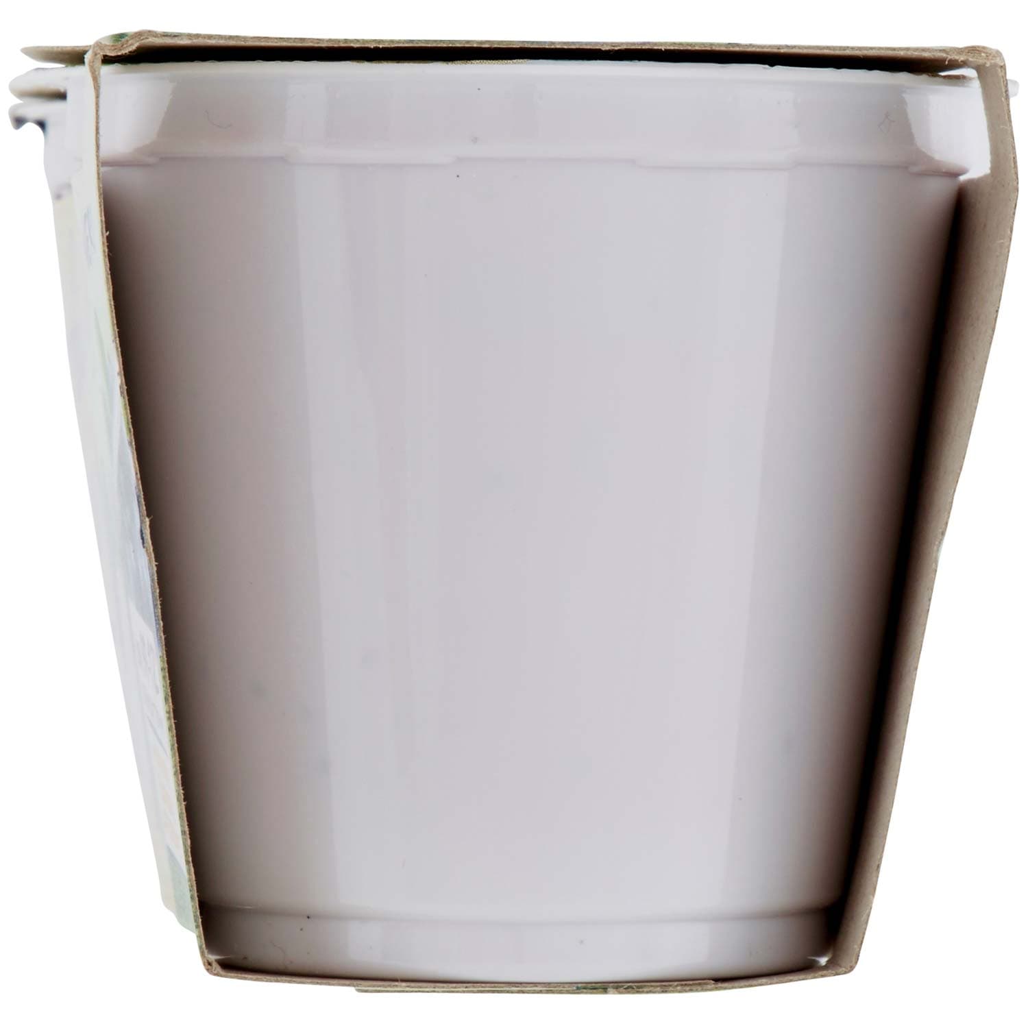 SEMPLICI E BUONI Probiotico al Mirtillo Nero 2 x 125 g – immagine 5