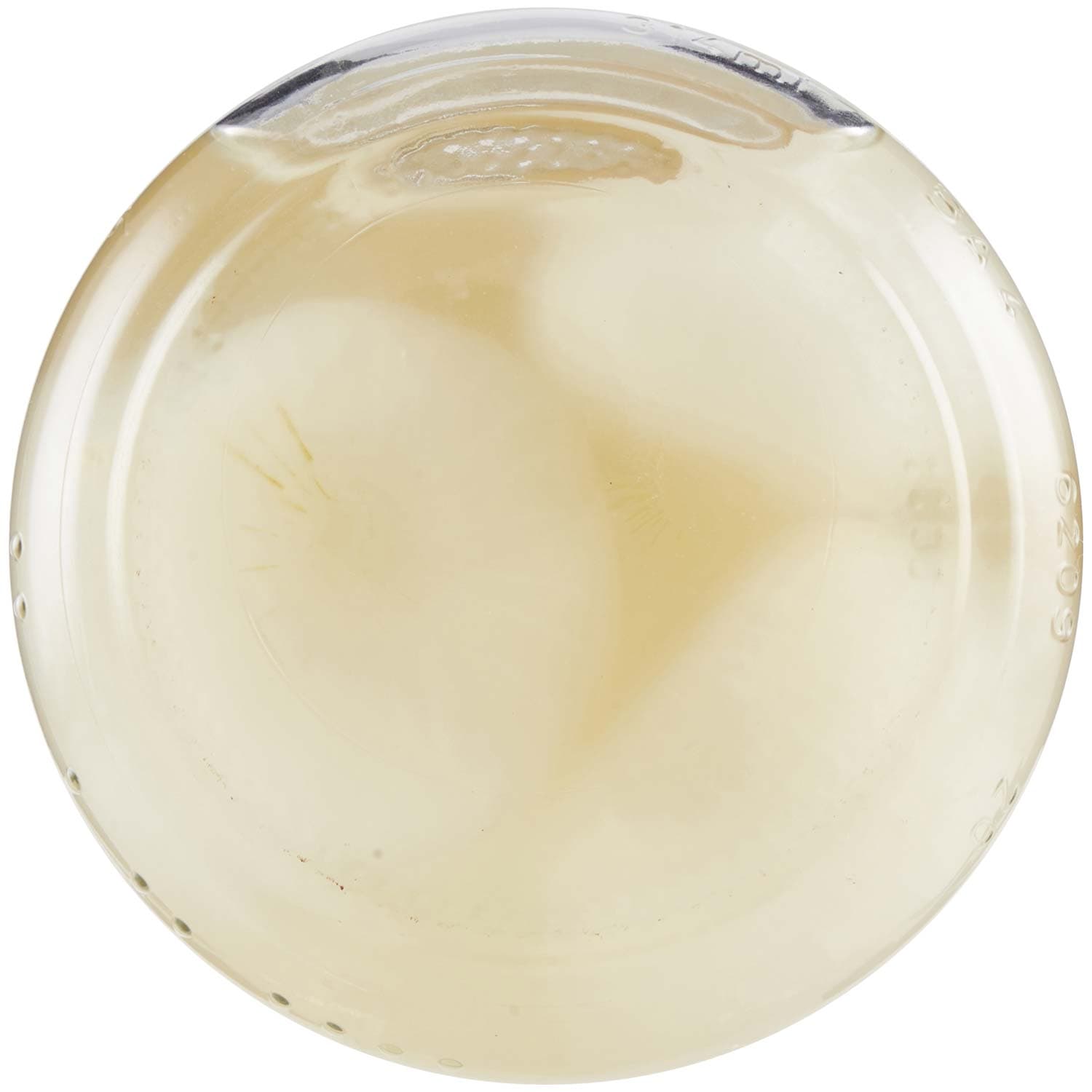 PAM PANORAMA Cipolline Borettane in Agrodolce 300 g – immagine 7