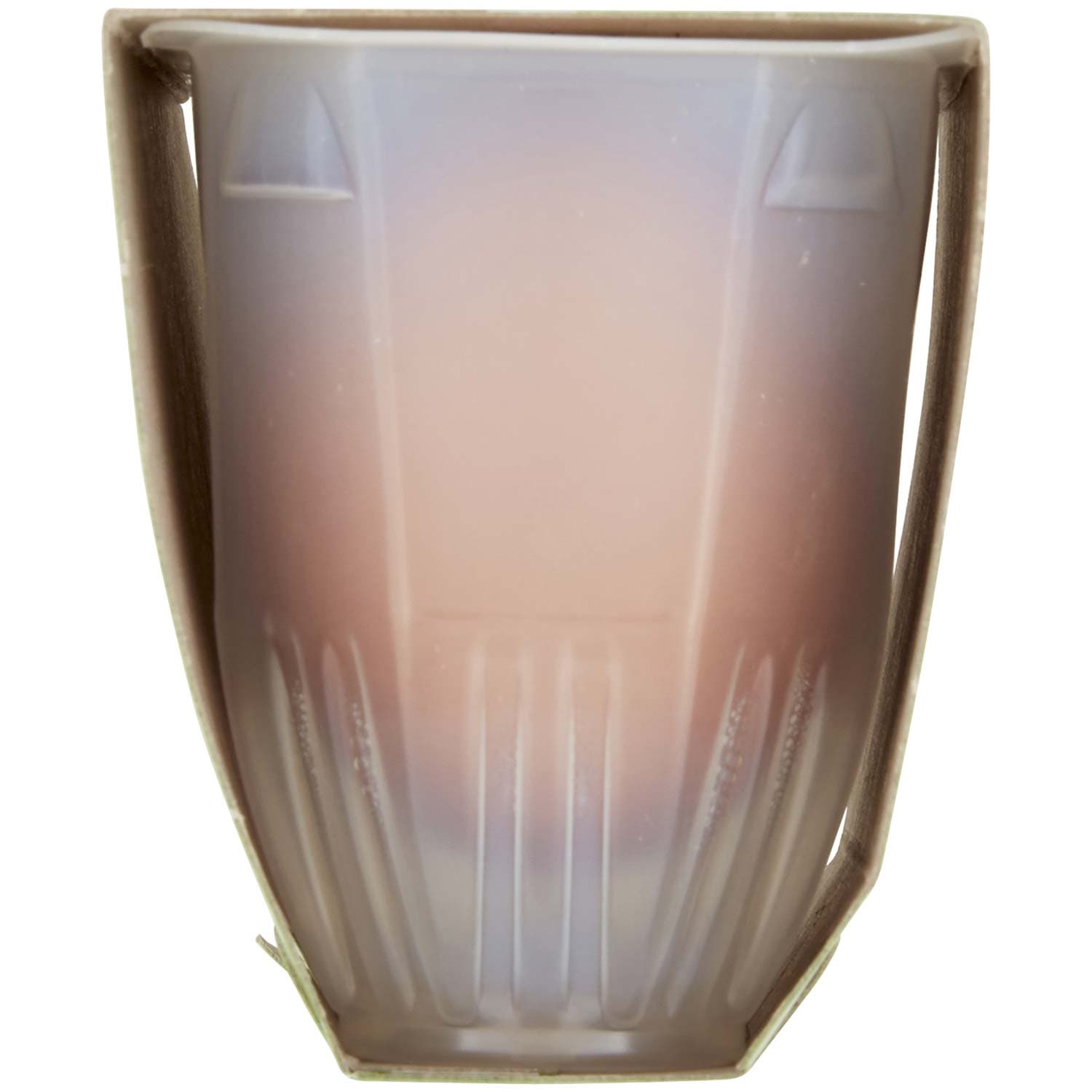 BIO 2 Uova Fresche Biologiche – immagine 3