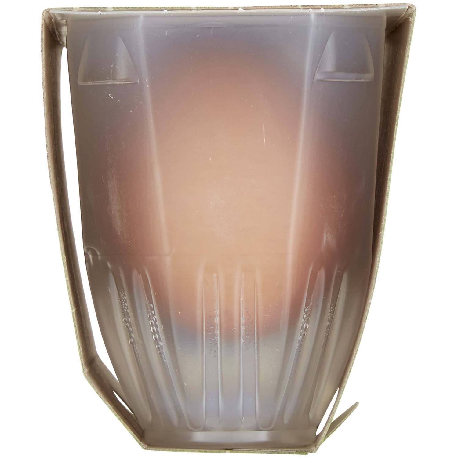 BIO 2 Uova Fresche Biologiche – immagine 5