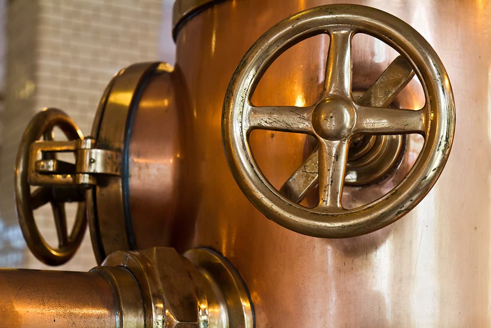 La birra e la fermentazione