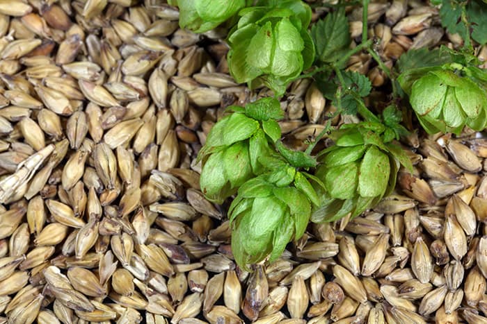 Gli ingredienti della birra