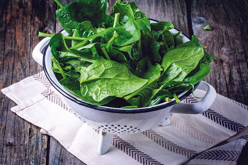 Insalate di primavera