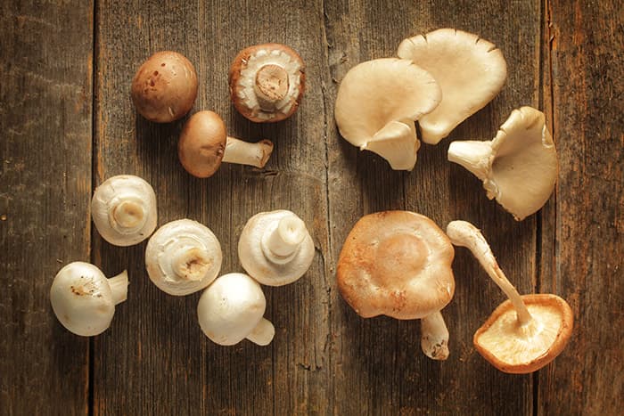 Tempo di funghi