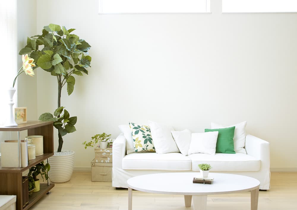 Feng Shui: in casa regna l'armonia