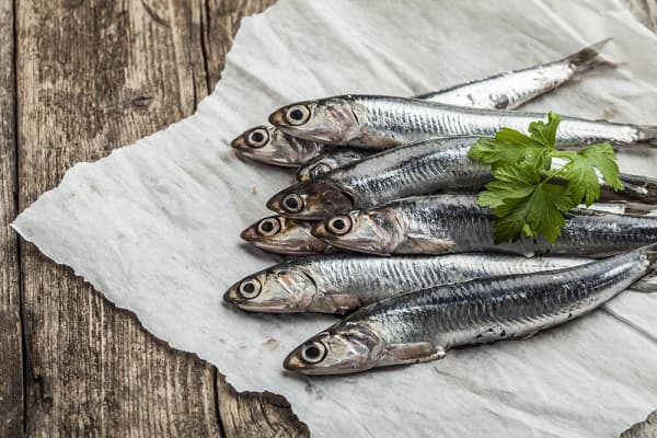 Il pesce di stagione