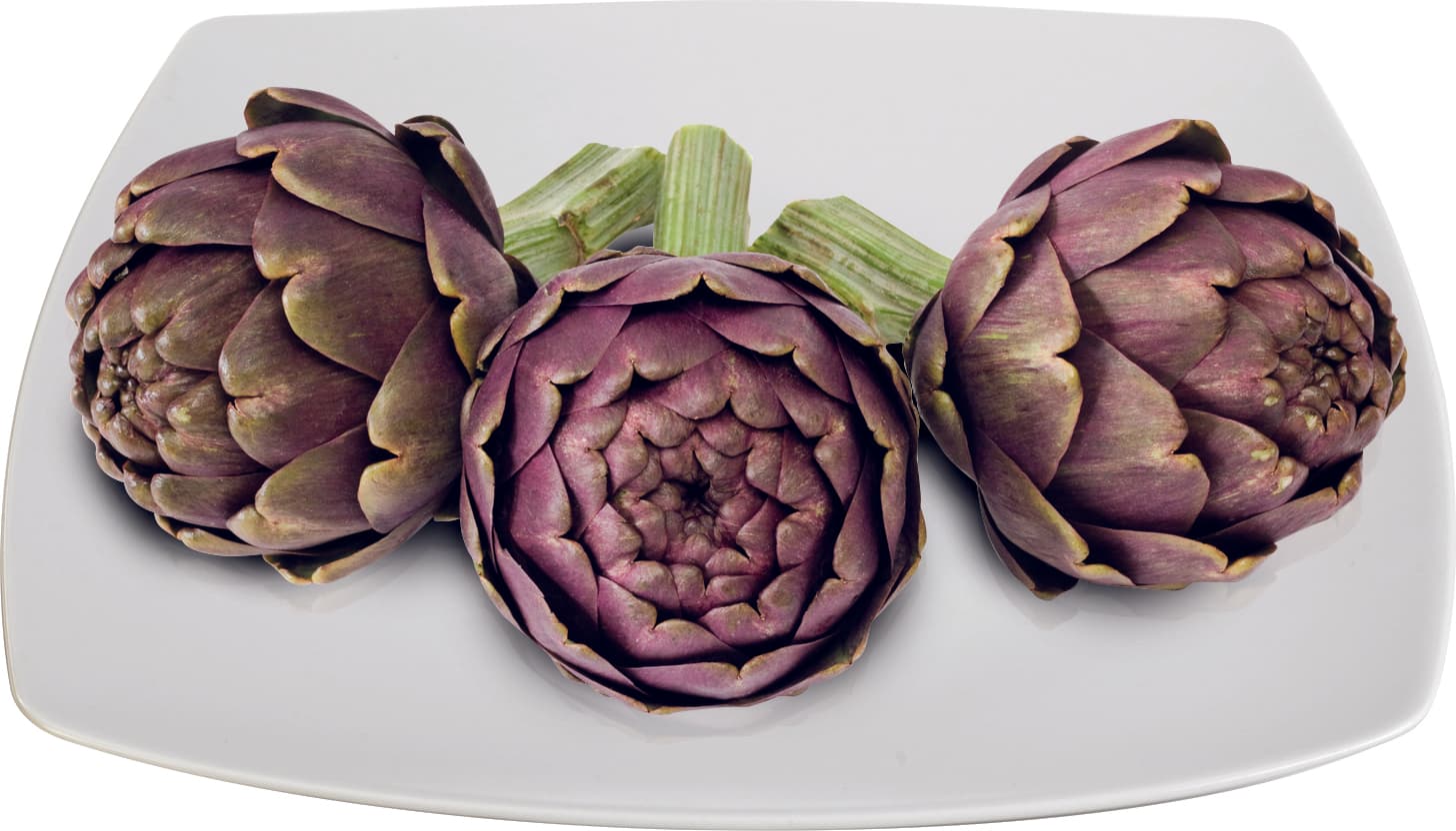 Carciofo mammola