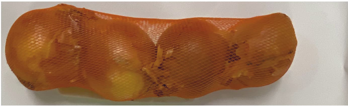 Cipolla dorata PAM 500g