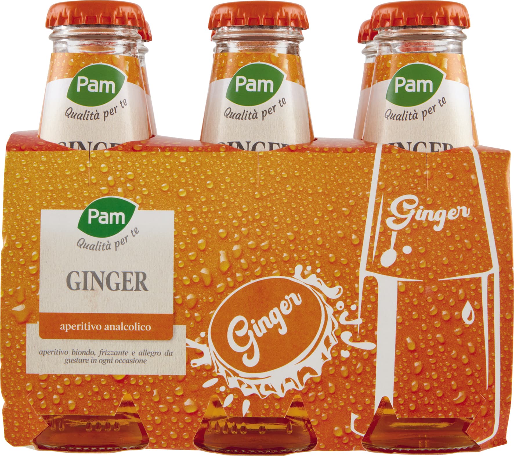 PAM PANORAMA Ginger 600 ml (100ml x 6) – immagine 1
