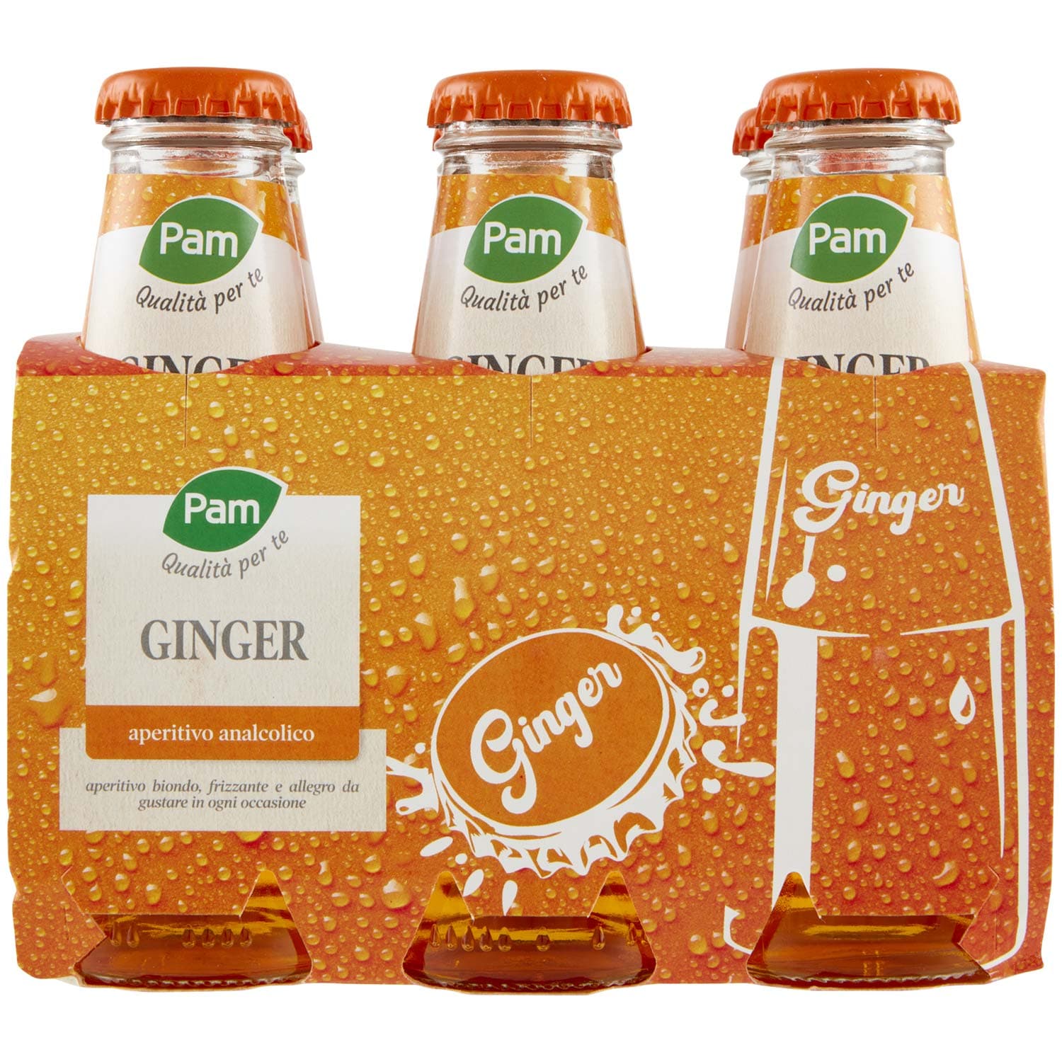 PAM PANORAMA Ginger 600 ml (100ml x 6) – immagine 2