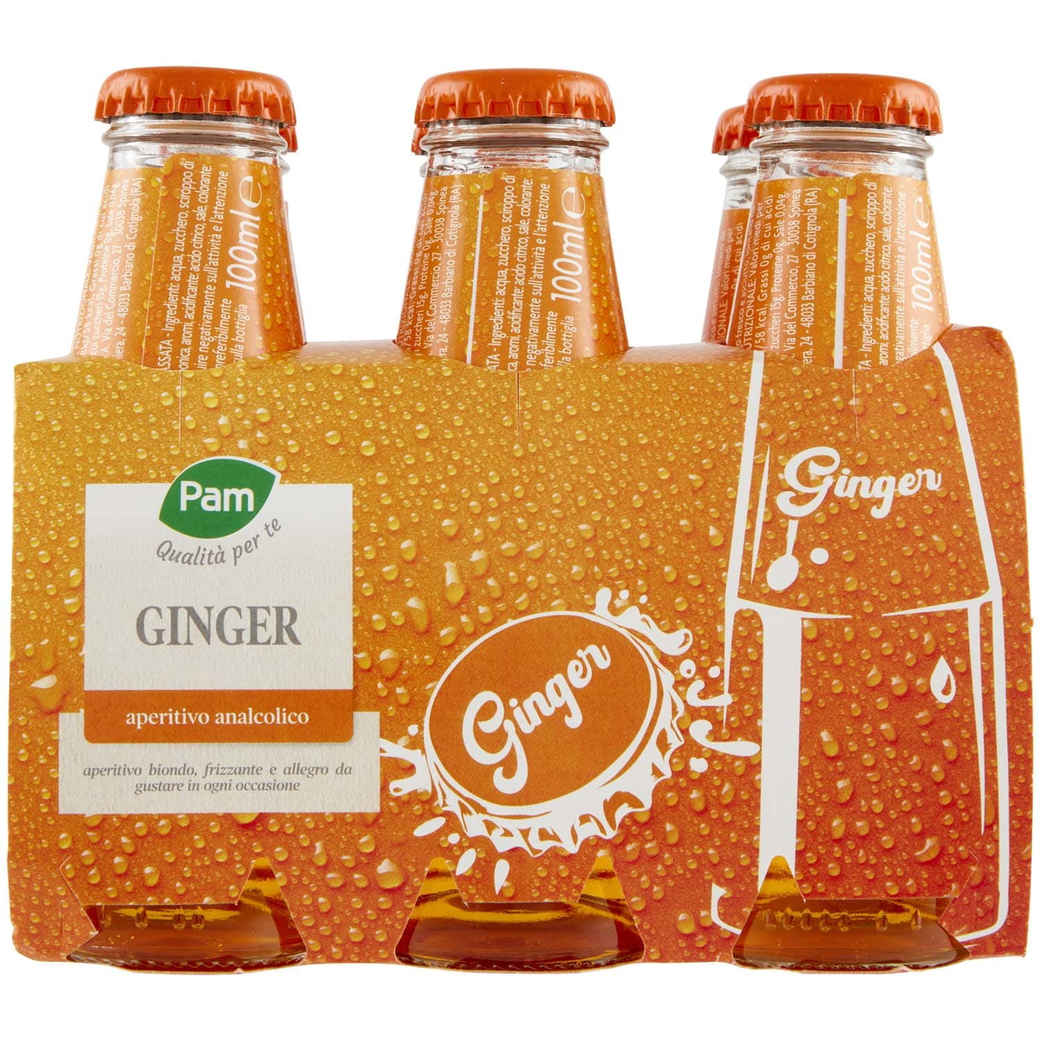 PAM PANORAMA Ginger 600 ml (100ml x 6) – immagine 4