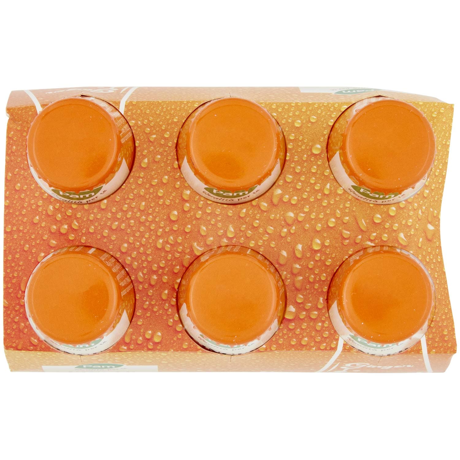 PAM PANORAMA Ginger 600 ml (100ml x 6) – immagine 6