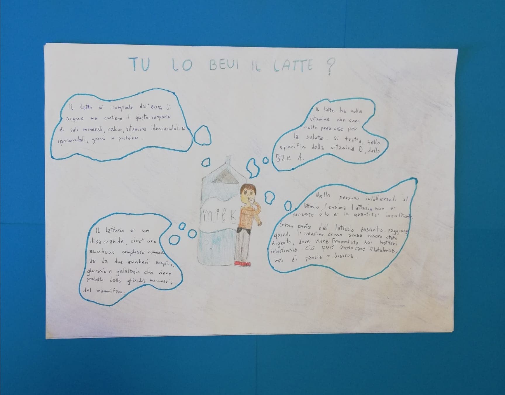 Laboratorio: Primaria L. Zecchetto Vicenza